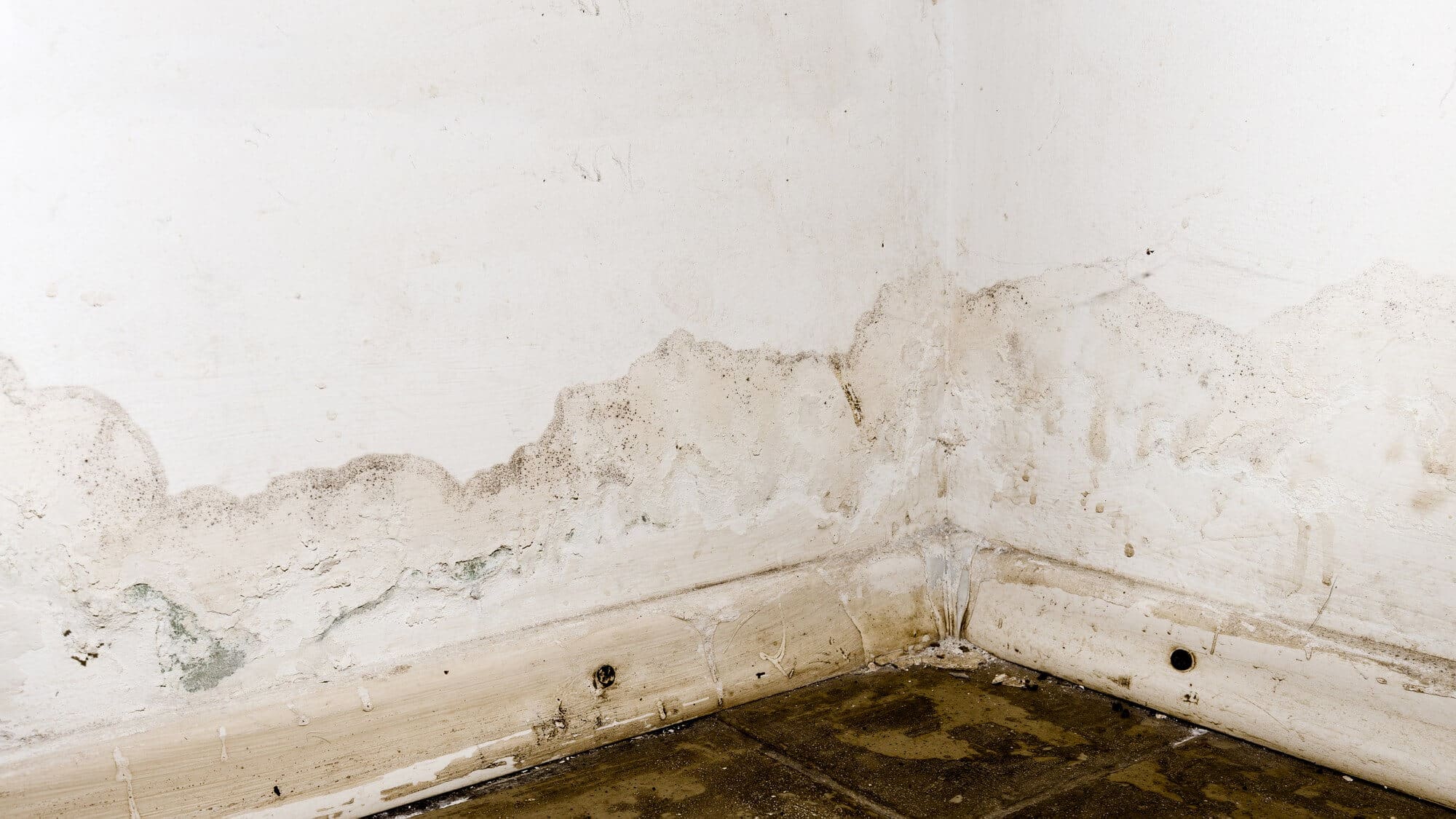 floodwater damage in basement