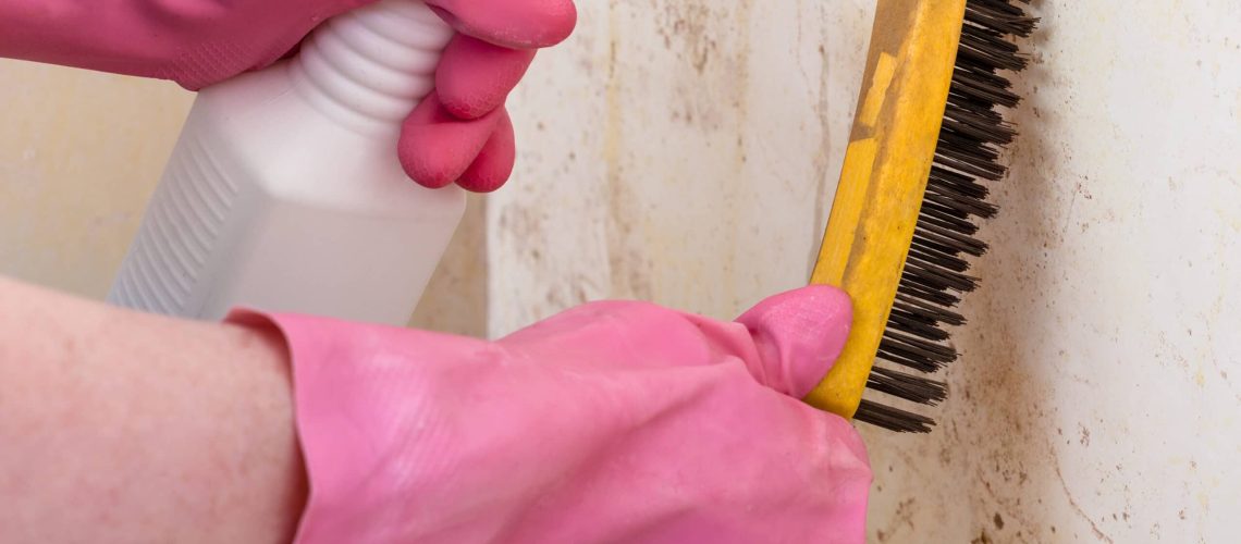 Removal of mold from wall with spray and brush