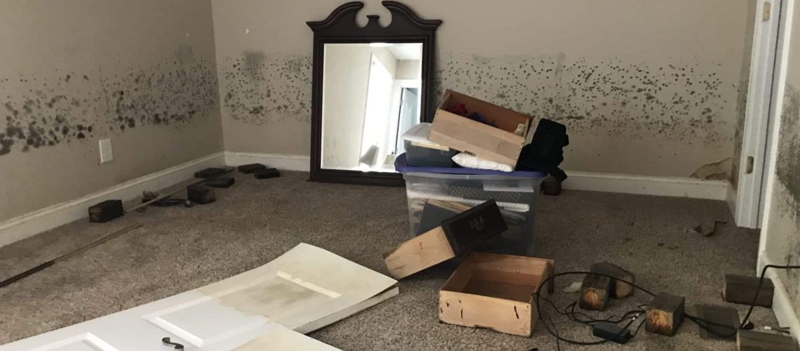 Flood damage in house causing mold